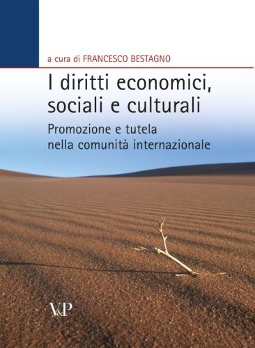 I diritti economici, sociali e culturali - Promozione e tutela nella comunità internazionale