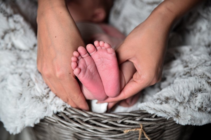 IL LIBRO DELLA MAMMA E DEL BAMBINO